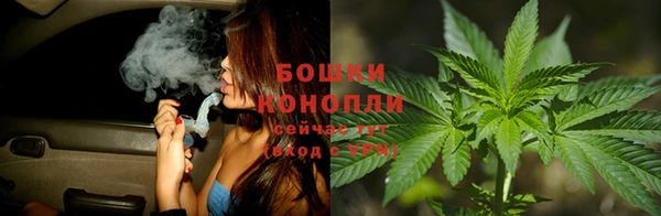 стафф Краснотурьинск
