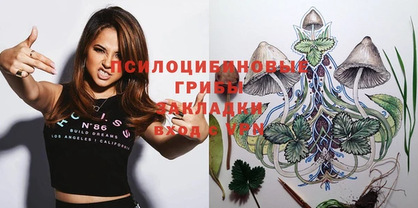 стафф Краснотурьинск