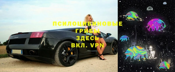 стафф Краснотурьинск