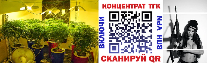 магазин продажи   darknet какой сайт  ТГК вейп с тгк  Шебекино 