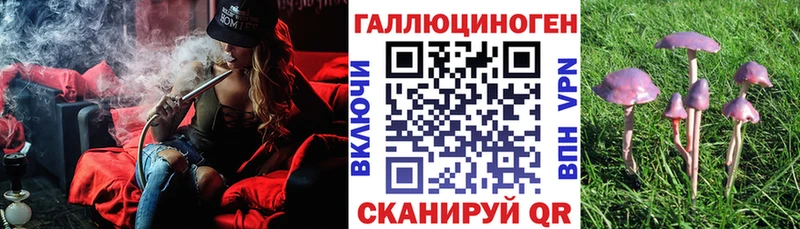 Галлюциногенные грибы MAGIC MUSHROOMS даркнет формула Шебекино что такое