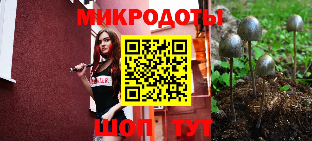 Псилоцибиновые грибы прущие грибы  Шебекино  цена наркотик  Галлюциногенные грибы мухоморы 