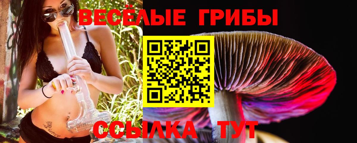 Псилоцибиновые грибы мицелий  Вход с VPN  Шебекино  Псилоцибиновые грибы GOLDEN TEACHER 