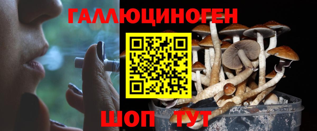 Галлюциногенные грибы ЛСД Шебекино