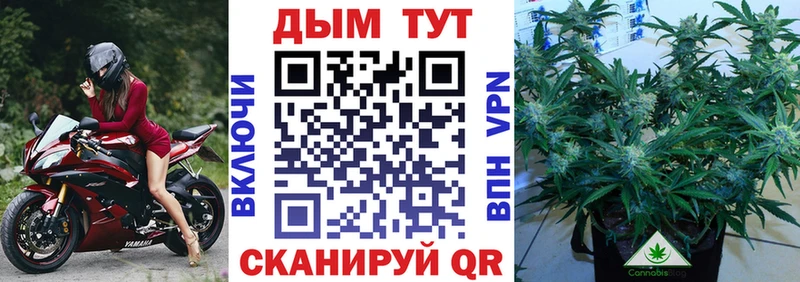 купить  сайты  Шебекино  Бошки Шишки White Widow 