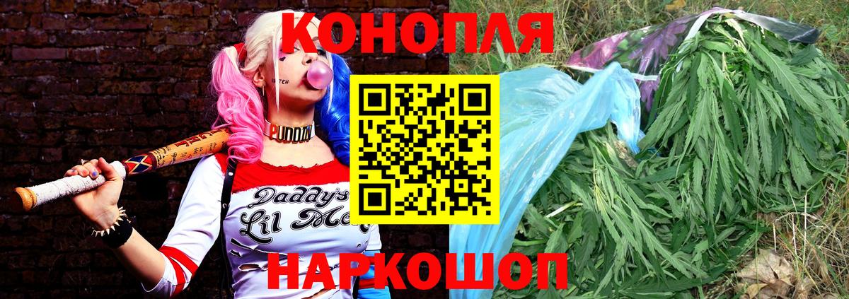 Канабис гибрид Шебекино